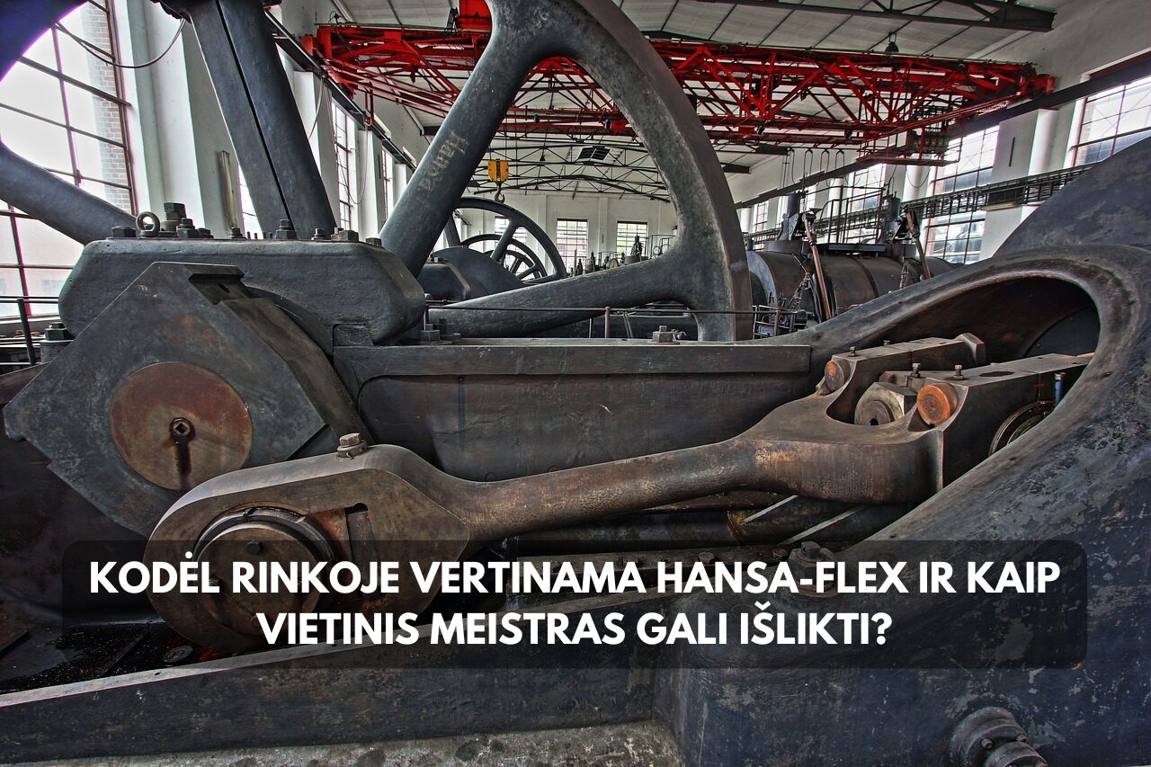 Kodėl rinkoje vertinama Hansa-Flex ir kaip vietinis meistras gali išlikti?