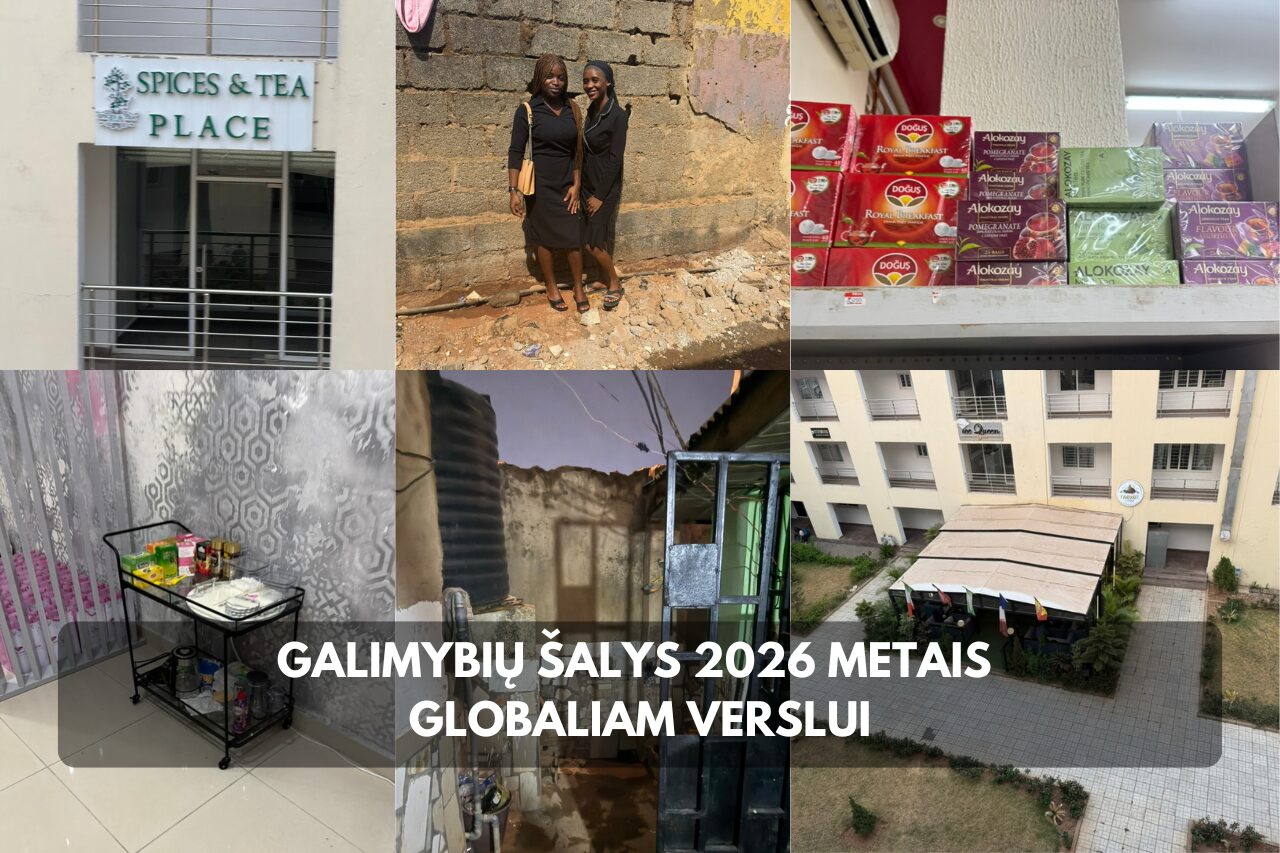 Galimybių šalys 2026 metais globaliam verslui