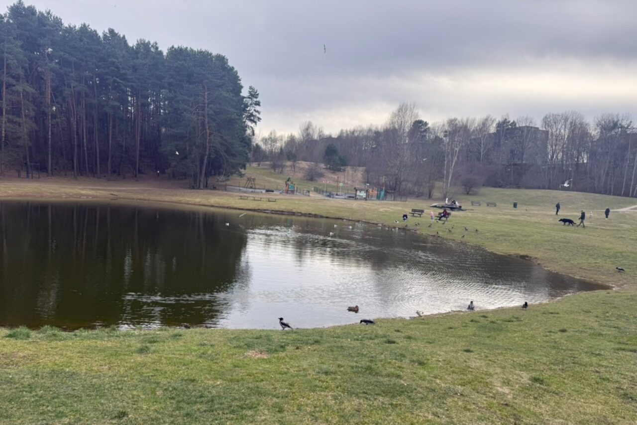 Kas yra keturi pagrindiniai Rotomskis Ventures Tikslai 2031 metams?