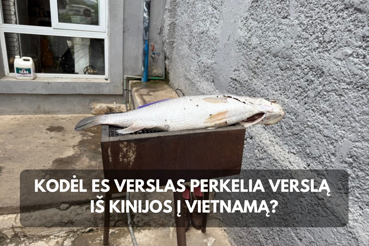Kodėl ES įmonės perkelia gamybą iš Kinijos į Vietnamą?