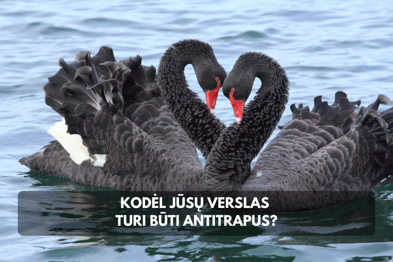 Kodėl jūsų verslas privalo būti antitrapus?